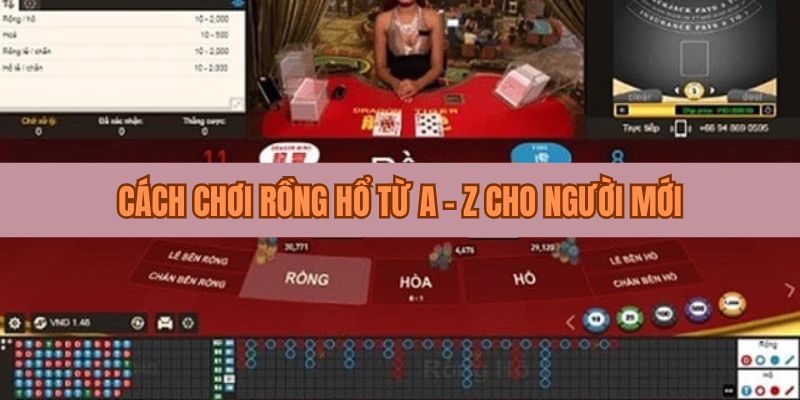 Cách chơi Rồng Hổ Hello88 từ A - Z cho người mới