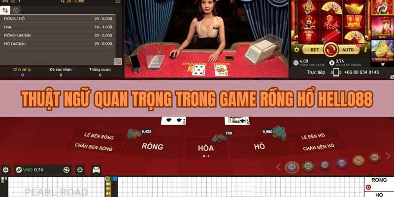 4 thuật ngữ quan trọng trong game Rồng Hổ cần nắm rõ