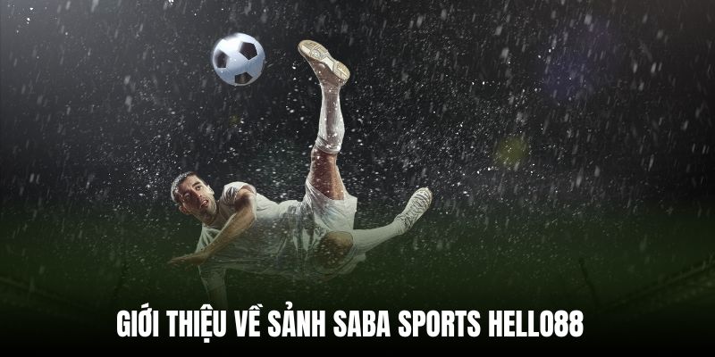 Khám phá sơ lược về sảnh SABA Sports Hello88